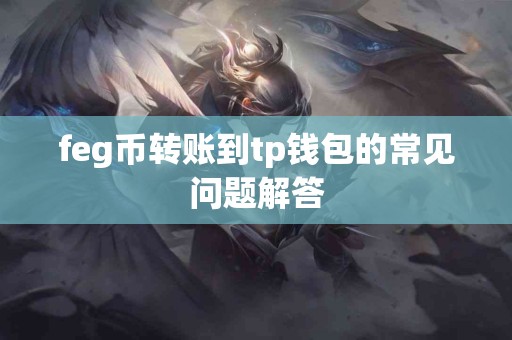 feg币转账到tp钱包的常见问题解答