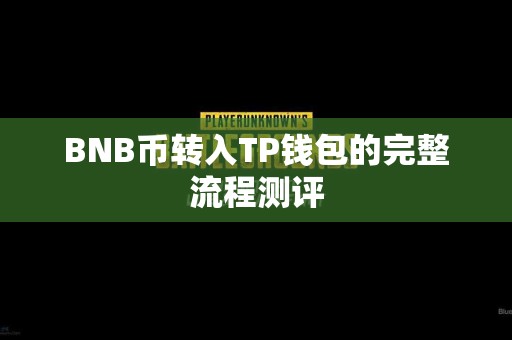 BNB币转入TP钱包的完整流程测评